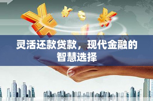 临沭灵活还款贷款，现代金融的智慧选择