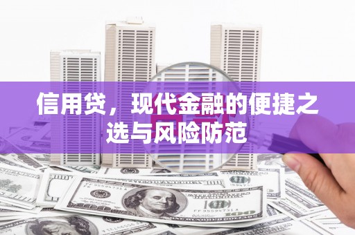 临沭信用贷，现代金融的便捷之选与风险防范