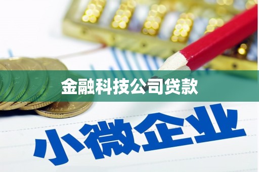 临沭金融科技公司贷款