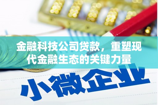 临沭金融科技公司贷款，重塑现代金融生态的关键力量