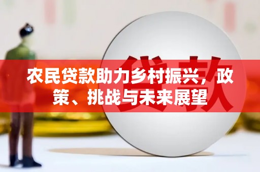 临沭农民贷款助力乡村振兴，政策、挑战与未来展望