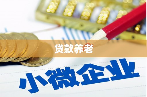 临沭贷款养老