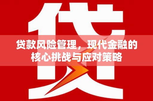 临沭贷款风险管理，现代金融的核心挑战与应对策略