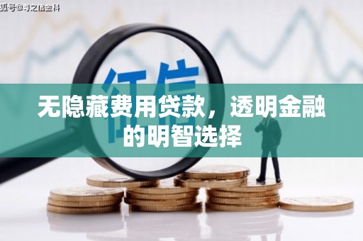 临沭无隐藏费用贷款，透明金融的明智选择