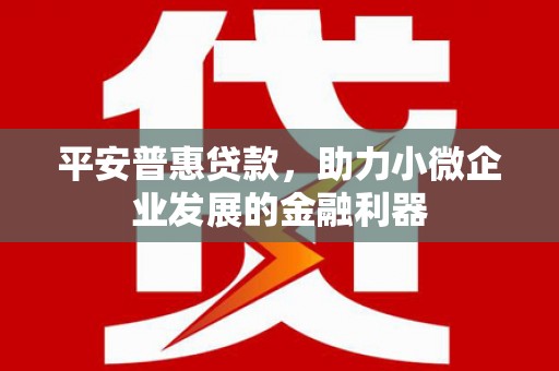临沭平安普惠贷款，助力小微企业发展的金融利器