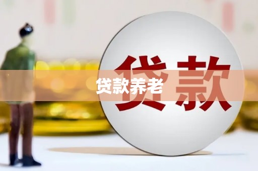临沭贷款养老