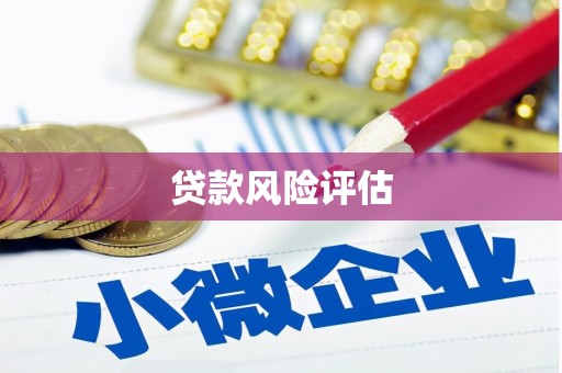 临沭贷款风险评估
