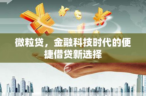 临沭微粒贷，金融科技时代的便捷借贷新选择