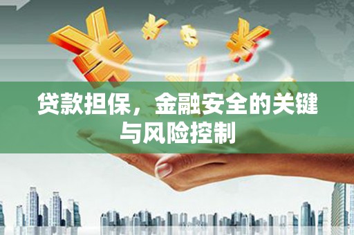临沭贷款担保，金融安全的关键与风险控制