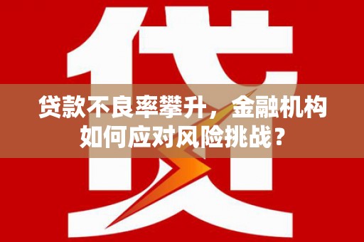 临沭贷款不良率攀升，金融机构如何应对风险挑战？