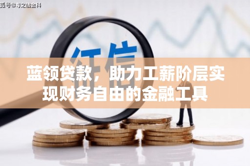 临沭蓝领贷款，助力工薪阶层实现财务自由的金融工具