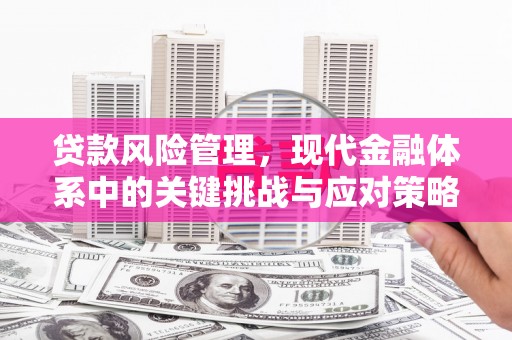 临沭贷款风险管理，现代金融体系中的关键挑战与应对策略