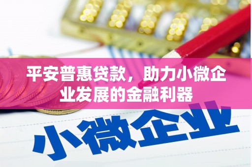 临沭平安普惠贷款，助力小微企业发展的金融利器