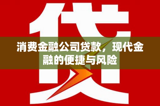 临沭消费金融公司贷款，现代金融的便捷与风险