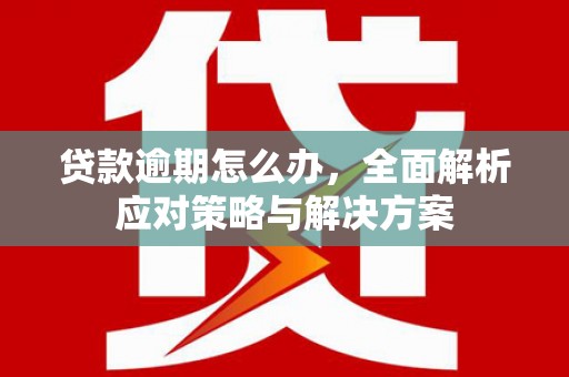 临沭贷款逾期怎么办，全面解析应对策略与解决方案