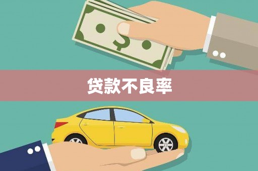 临沭贷款不良率