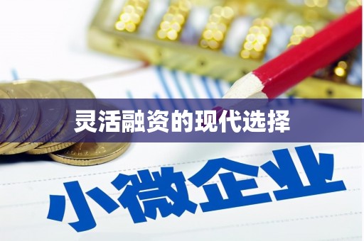 临沭灵活融资的现代选择
