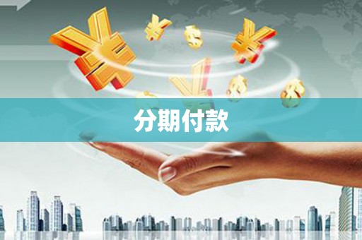 临沭分期付款