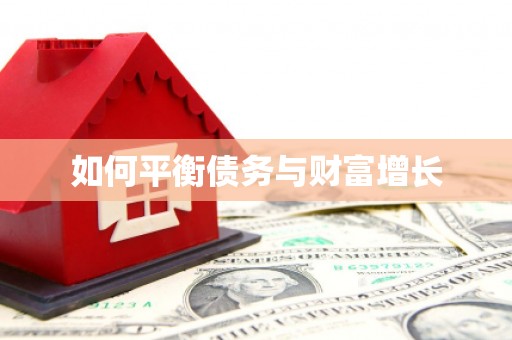 临沭如何平衡债务与财富增长